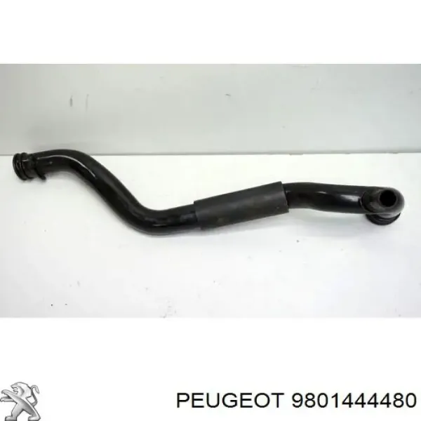Przewód (króciec) układu chłodzenia 9801444480 Peugeot/Citroen