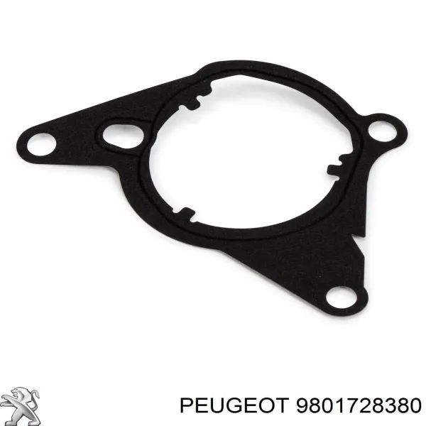 Uszczelka pompy próżniowej 9801728380 Peugeot/Citroen