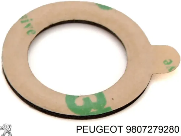 Uszczelka filtra cząstek stałych przednia 9807279280 Peugeot/Citroen