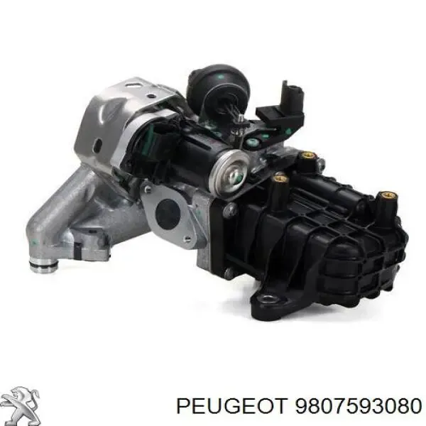 Zawór recyrkulacji spalin EGR 9807593080 Peugeot/Citroen