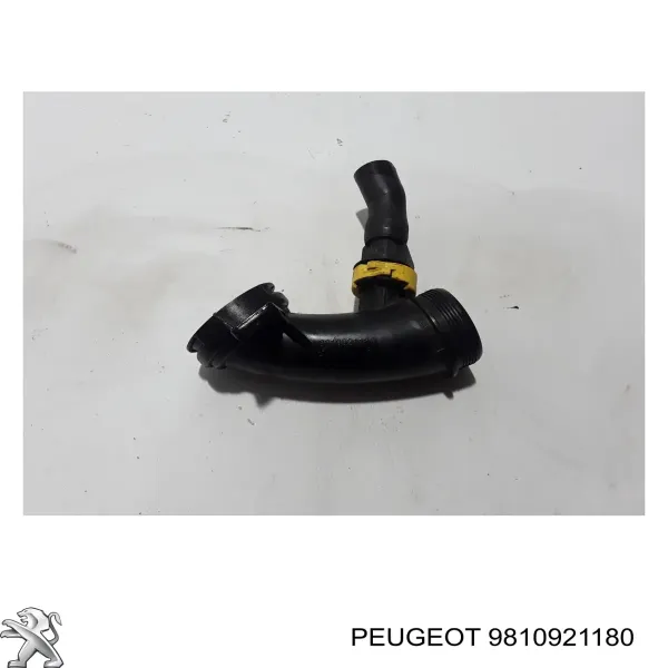 Króciec powietrza, wylot filtra powietrznego 9810921180 Peugeot/Citroen