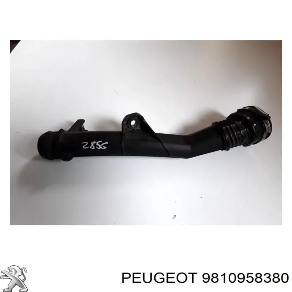 Przewód (króciec) intercoolera 9810958380 Peugeot/Citroen