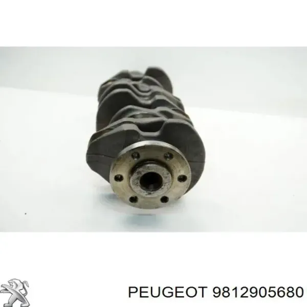 Do koszyka Wał korbowy silnika Peugeot 407 
