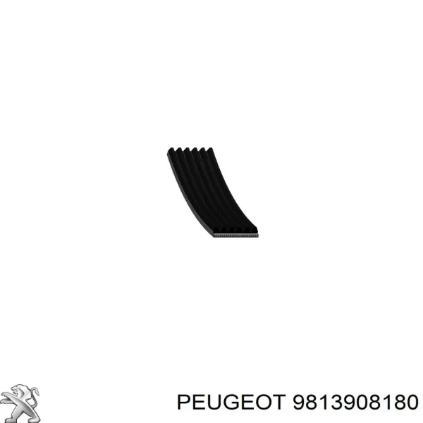 Pas napędowy mechanizmów 9813908180 Peugeot/Citroen