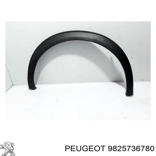  9825736780 Peugeot/Citroen