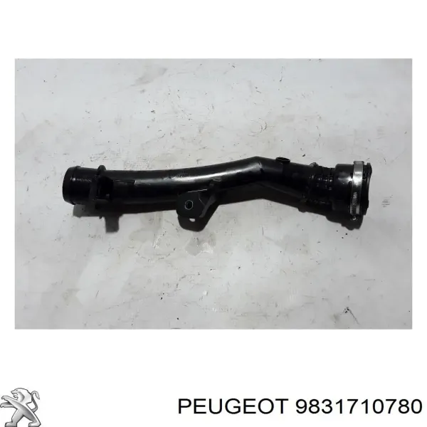 Przewód (króciec) intercoolera 9831710780 Peugeot/Citroen