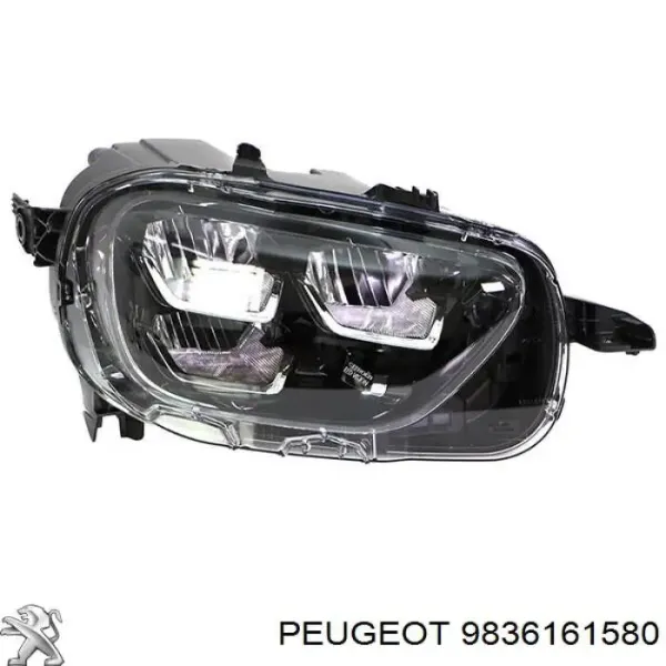 Reflektor prawy 9836161580 Peugeot/Citroen