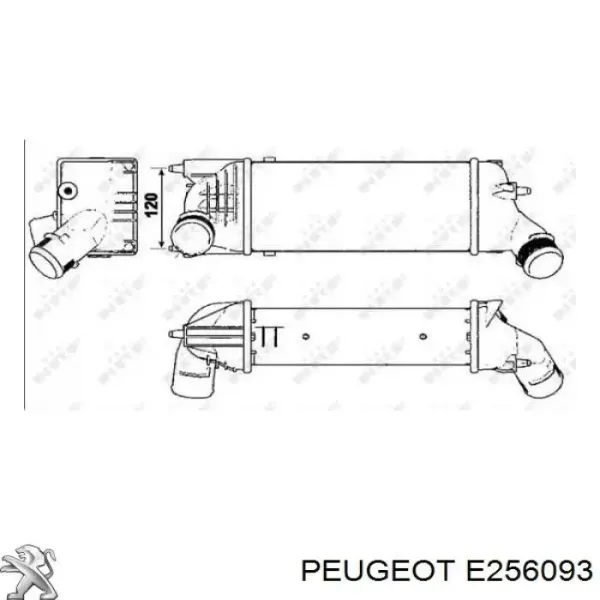 Do koszyka Chłodnica intercoolera Peugeot 407 