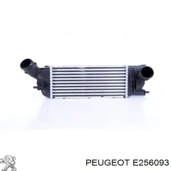 Chłodnica intercoolera Peugeot 407 cena, od
