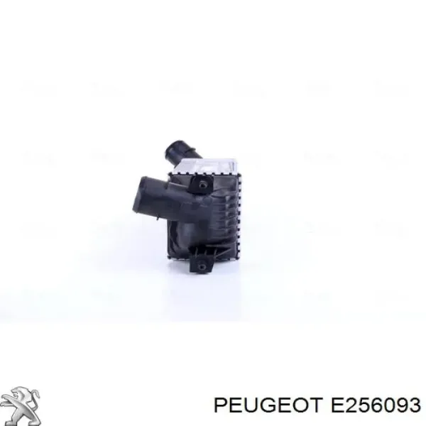 Do koszyka Chłodnica intercoolera Peugeot 407 