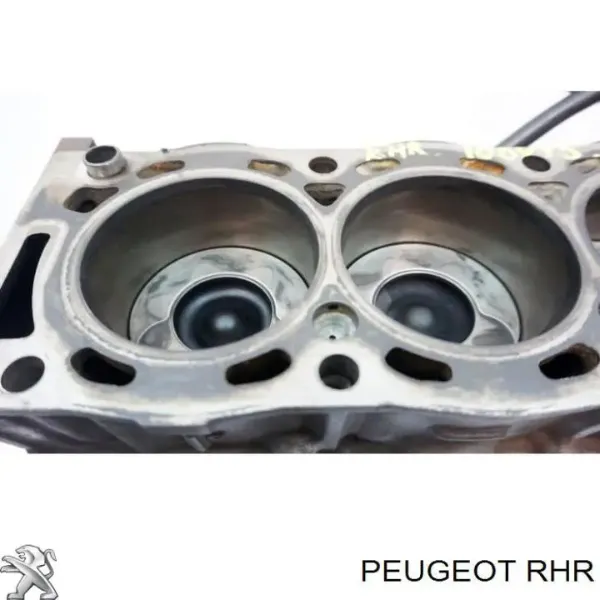 Silnik w komplecie Peugeot 407 SW 6E