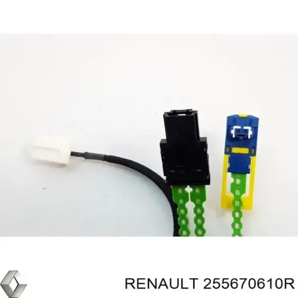  255670610R Renault (RVI)