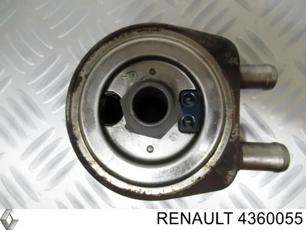 Chłodnica oleju 4360055 Renault (RVI)