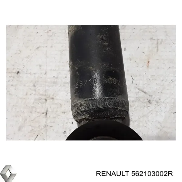 Amortyzator tylny 562103002R Renault (RVI)