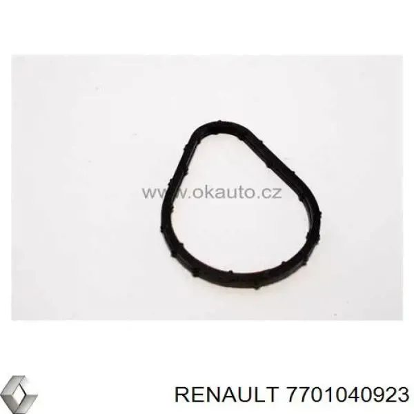Uszczelka termostatu 7701040923 Renault (RVI)