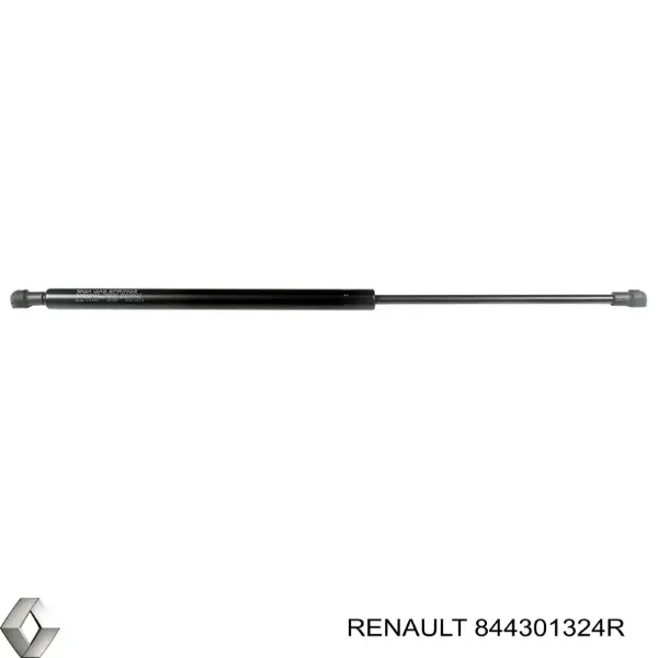 Amortyzator klapy bagażnika (3/5 drzwi-tylnych) 844301324R Renault (RVI)