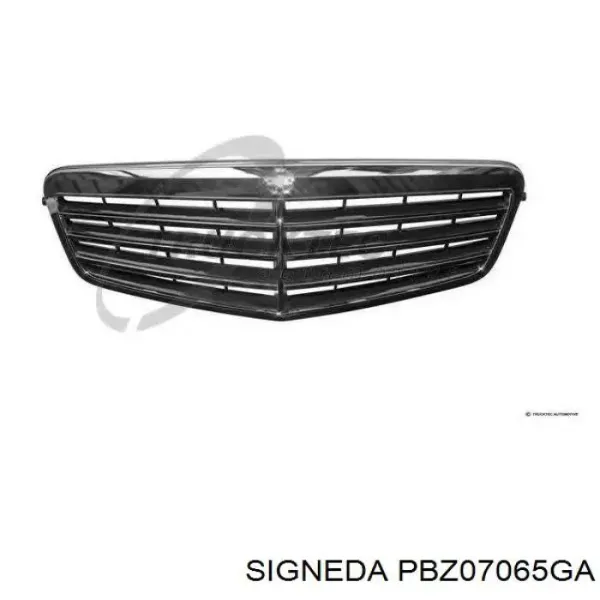 Atrapa chłodnicy PBZ07065GA Signeda