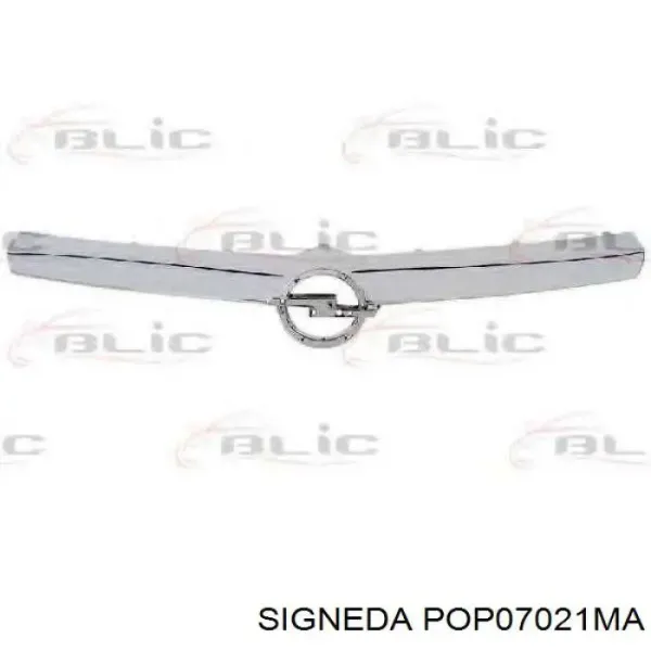Atrapa chłodnicy FP5206991 FPS