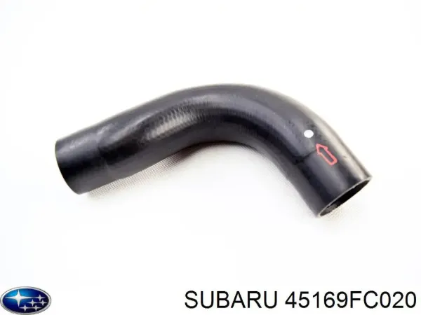 Przewód (króciec) chłodnicy dolny 45169FC020 Subaru