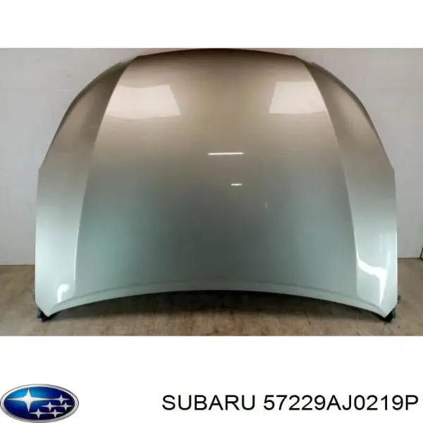 Maska silnika 57229AJ0219P Subaru