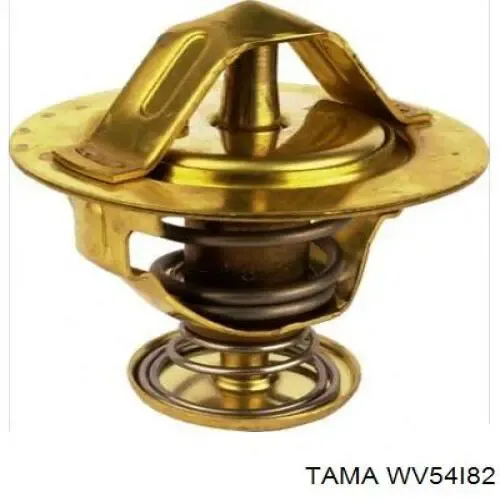 Termostat WV54I82 Tama