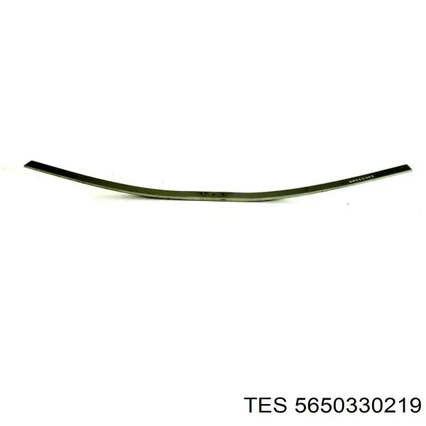 Resor tylny 5650330119 TES