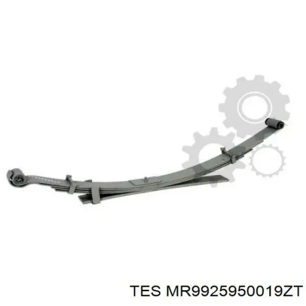 Resor tylny MR9925950019ZT TES