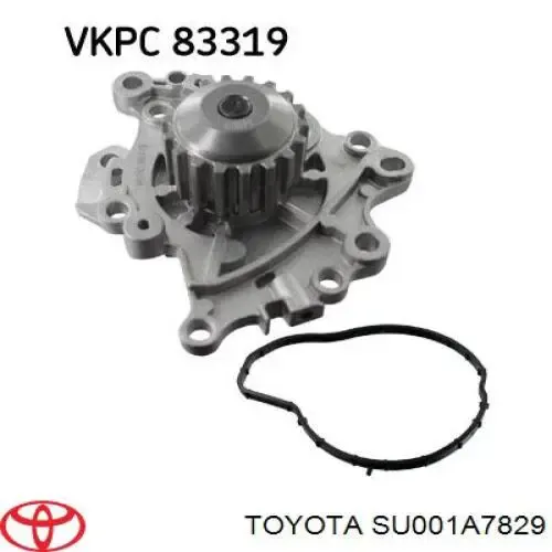 Pompa chłodząca wodna 9836834880 Peugeot/Citroen