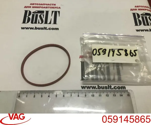 Uszczelka przepustnicy 059145865 VAG