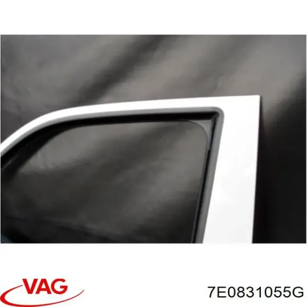 Drzwi przednie lewe Volkswagen Multivan T5