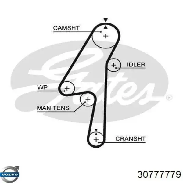 Pasek rozrządu 30777779 Volvo