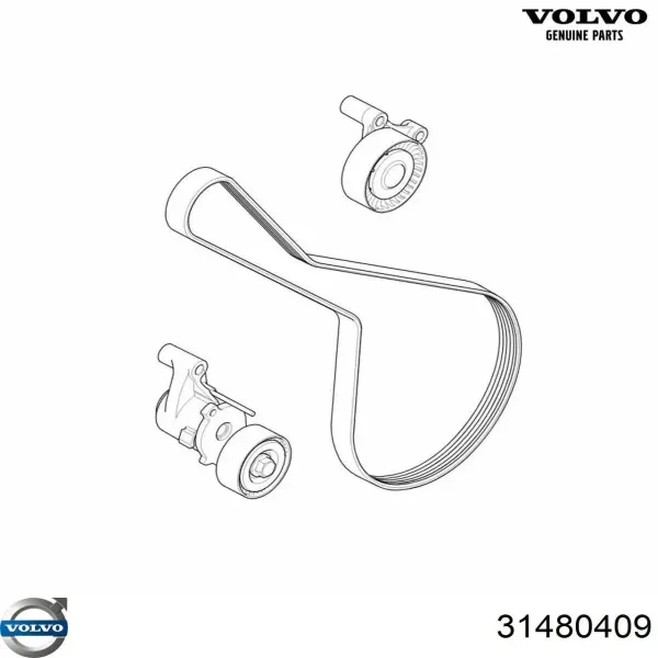 Pasek napędowy mechanizmów, zestaw 31480409 Volvo