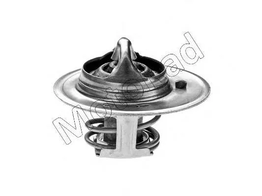 Termostat Mazda Demio