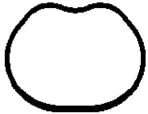 Uszczelka kolektora ssącego 1142502 Ford