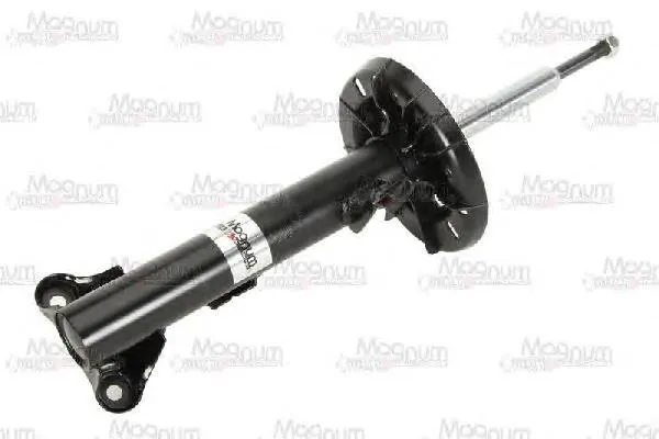 Amortyzator przedni RS317559 Raiso