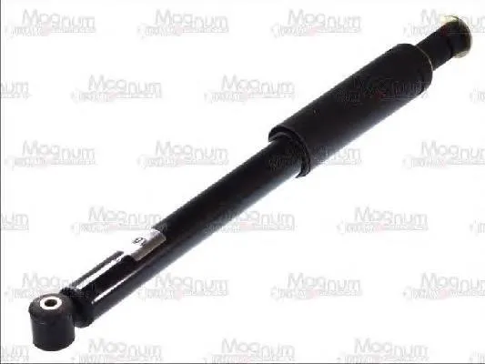 Amortyzator tylny RS317337 Raiso