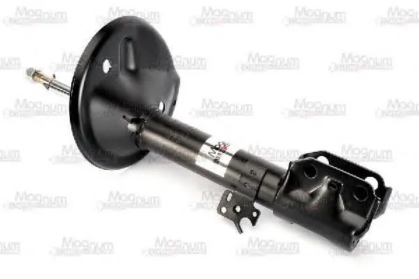 Amortyzator przedni lewy RS313809 Raiso