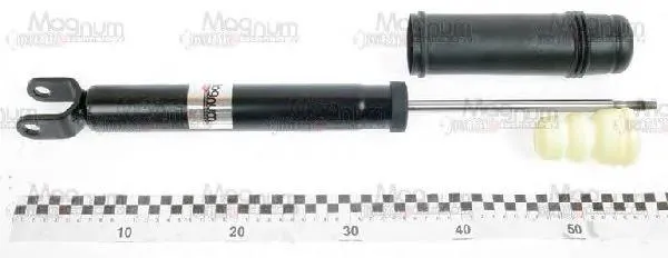 Amortyzator tylny RS317409 Raiso
