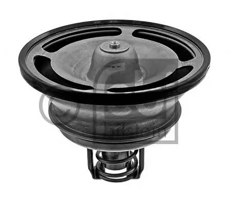 Termostat 7421412639 Renault (RVI)