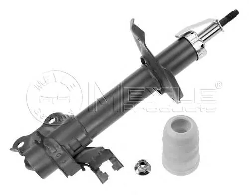 Amortyzator przedni lewy RS317157 Raiso
