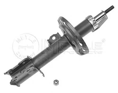 Amortyzator przedni prawy 72119118 General Motors
