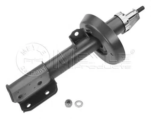 Amortyzator przedni prawy RS280360 Raiso