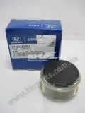 Koło pasowe alternatora Hyundai Ix35 LM