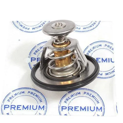 Termostat 1018020600 BYD