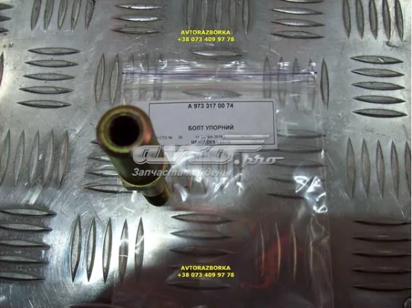  A9733170074 Mercedes