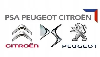 Wzmocnienie zderzaka przedniego 9805243280 Peugeot/Citroen