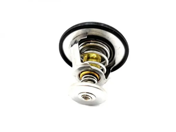 Termostat LFB479Q1306100A Lifan
