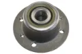 Piasta tylna Renault 21 L48