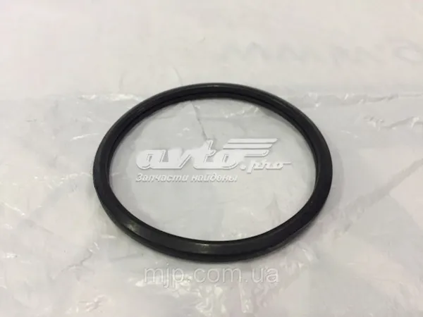 Uszczelka termostatu 1634666020 Toyota