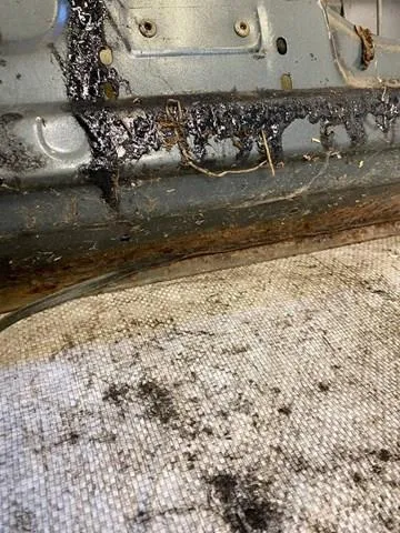 Drzwi przednie prawe Daewoo Espero KLEJ